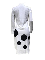 Queensofly  Dot Print Shirt Dress